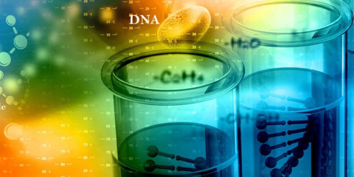 Find Out More About Yourself with DNA Testing Paternity Testing Services in Arizona