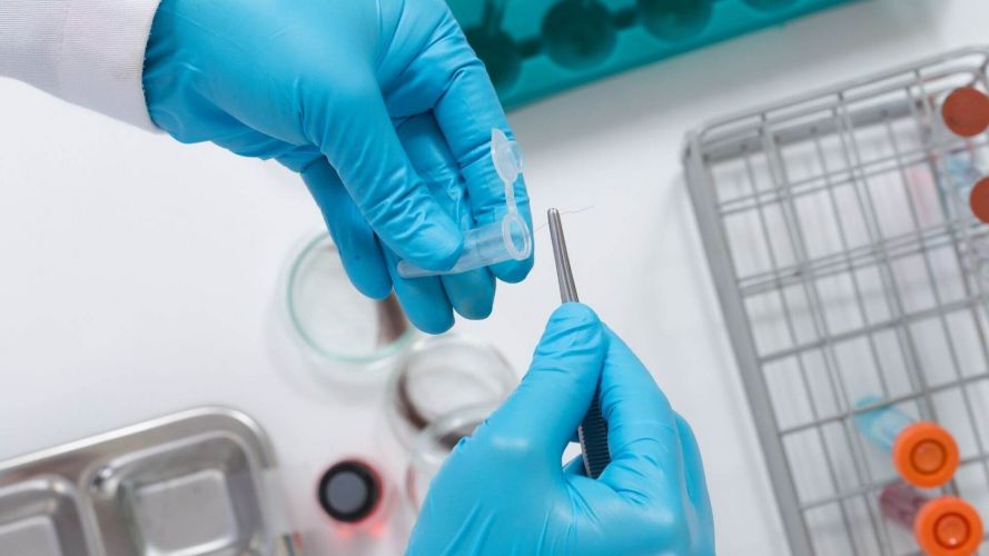 A lab technician placing a strand of hair into a test tube