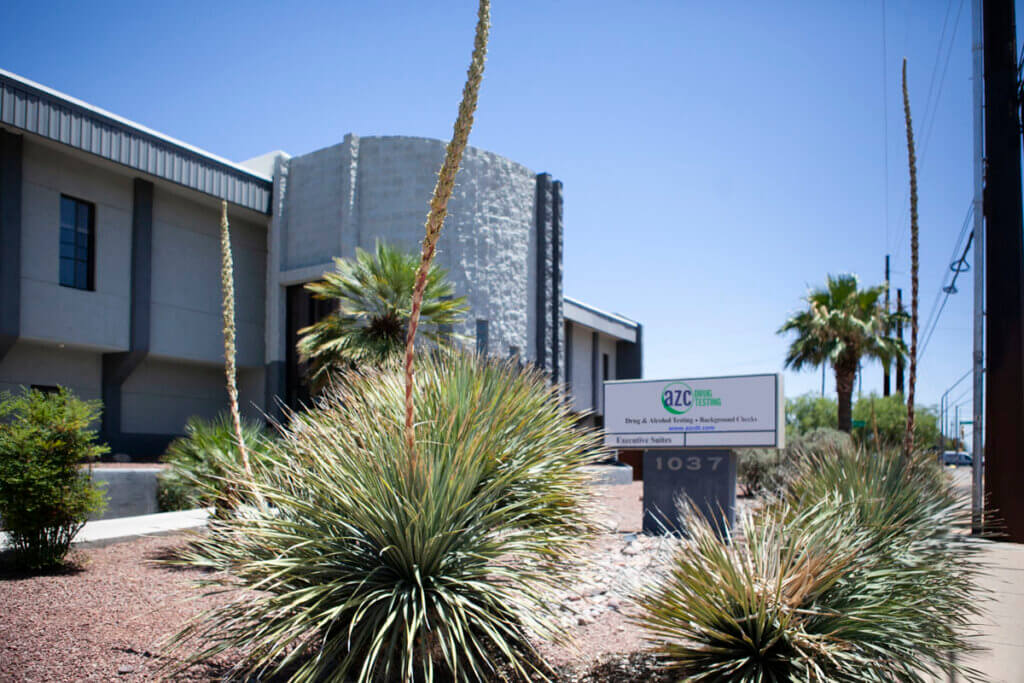 Native Arizona plants outside an AZC facility