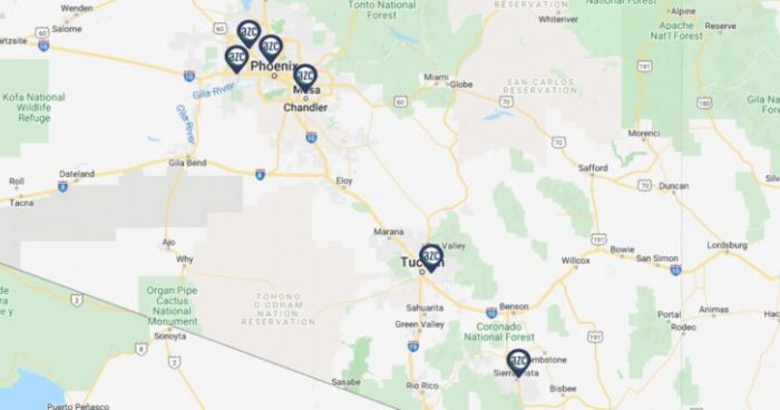 Native Arizona plants outside an AZC facility