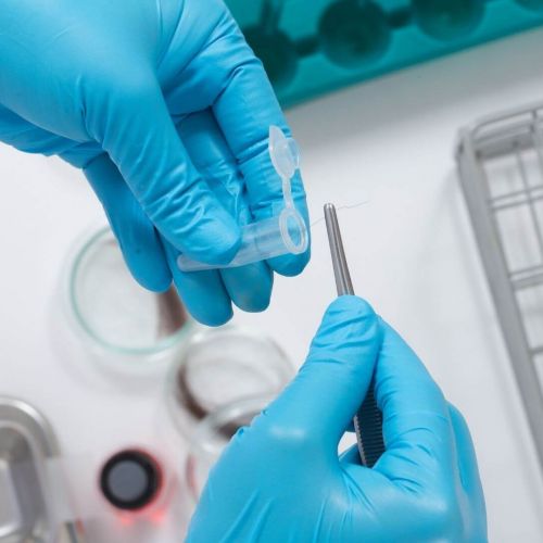 A lab technician placing a strand of hair into a test tube
