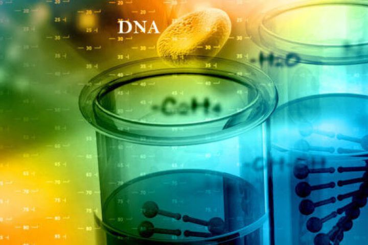 Paternity Testing Services in Arizona