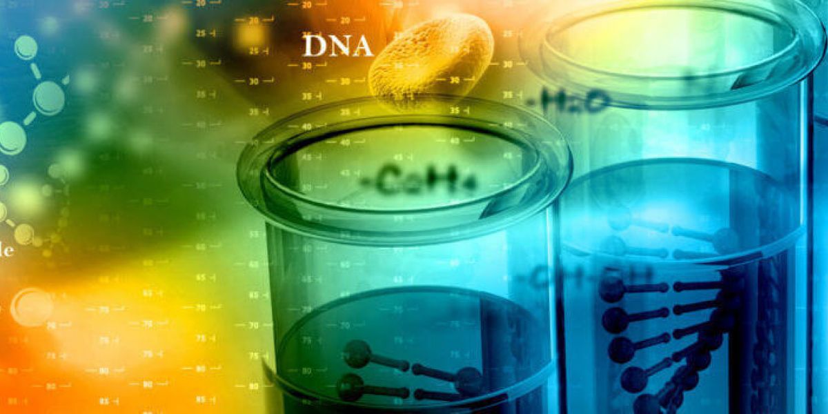 Learn More About the Benefits of DNA Tests Paternity Testing Services in Arizona